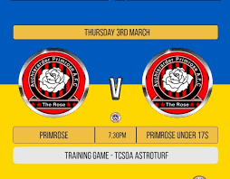 Image result for Auchterarder Primrose Juvenile Football Club