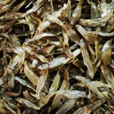 Attēlu rezultāti vaicājumam “Charales”