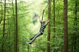 Image result for Go Ape! Thetford