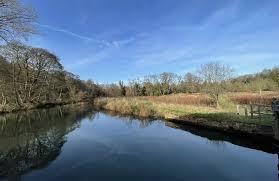 Image result for Oxted Runners