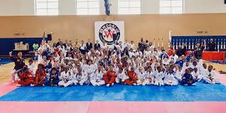Image result for Parkgate Taekwondo Club