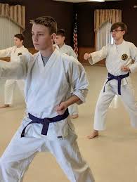 Image result for United Sport Karate