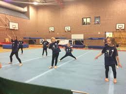 Image result for West Lothian Artistic Gymnastic Club