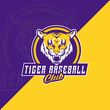 Image result for Bedford Tigers Tchoukball Club