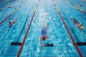 Image result for southport swimming club