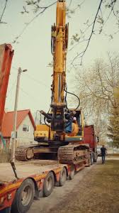 Image result for dipperfox tehron