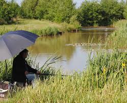 Image result for Dunham Massey Angling Club