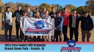 Image result for Georgeham and Croyde Community Amateur Sports Club