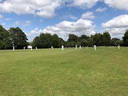 Image result for Purton Cricket Club