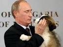 michelle branch santana lyrics - alg_resize_putin_dog