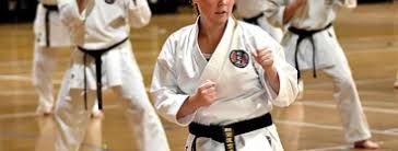Image result for Springwood Karate