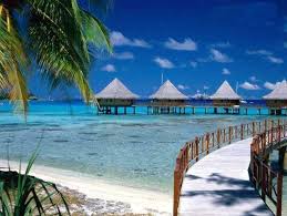 http://t0.gstatic.com/images?q=tbn:ANd9GcRwn4bB4O5CtOTEfL6ZXugt91mjNXFyprFWGTMo9XF7wwI5O0FYTw