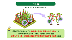 Image result for 生理現象ラキ