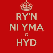 Image result for Caerbryn Association Football Club