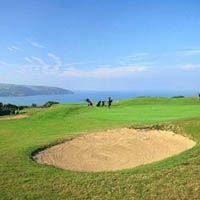 Image result for Cardigan Golf Club