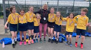 Image result for Farnham Netball Club
