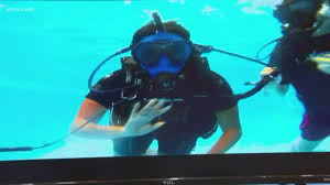 Image result for Cleveland Divers