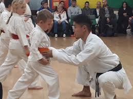 Image result for Haxby karate club