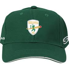 Image result for Peper Harow Cricket Club