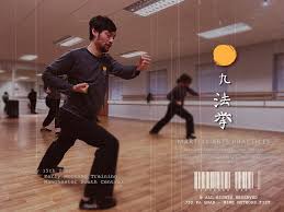 Image result for Shaolin Nam Pai Chuan Kung Fu - Manchester Martial Arts Centre