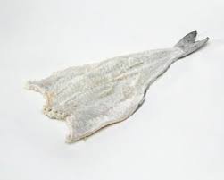 Image result for Pollachius virens