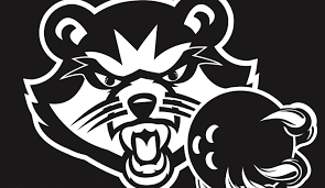 Image result for St Vincent Bowling Club