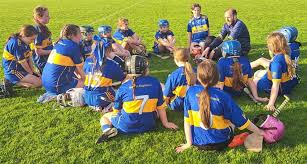 Image result for St Rita`s Camogie Club