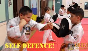 Image result for Harlesden Choi Kwang-Do