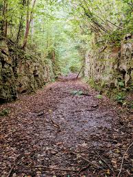 Image result for Dearne Valley Devils