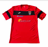 Image result for Bridgwater & Albion RFC