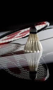 Image result for Hilltop Badminton Club