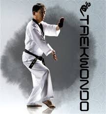 Image result for Didcot TAGB Tae Kwon Do