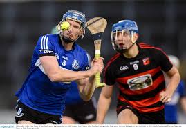 Image result for Sarsfields Hurling Club