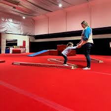 Image result for Kestrel Gymnastic Group