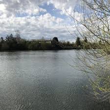 Image result for Addlestone Angling Society
