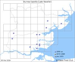 Attēlu rezultāti vaicājumam “Chimabachidae”