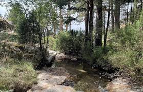 「parque los chor」の画像検索結果