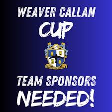 Image result for Monkton Swifts Football & Social Club