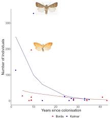 Attēlu rezultāti vaicājumam “Craniophora ligustri imago”