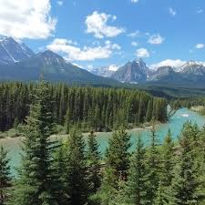 Résultat de recherche d'images pour "morant's curve"