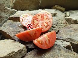 Afbeeldingsresultaat voor CDB tomato