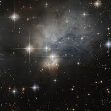 「観月真梨絵」の画像検索結果