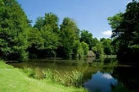 Image result for CALPAC Angling Club