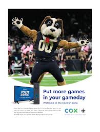 Image result for Blackburn Centurions Sc