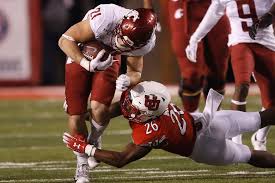 Image result for Ut Cougars