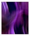 The Color Purple