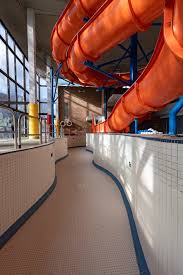 Image result for Coventry Swimming Club