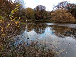 Image result for Crowborough & District Anglers Association