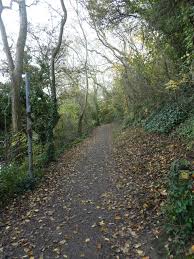 Image result for example