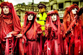 Image result for Reddish Rebels